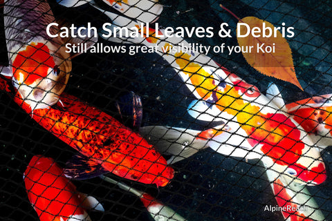 AlpineReach 14x14 pond coverage illustrates ample protection area for koi ponds.