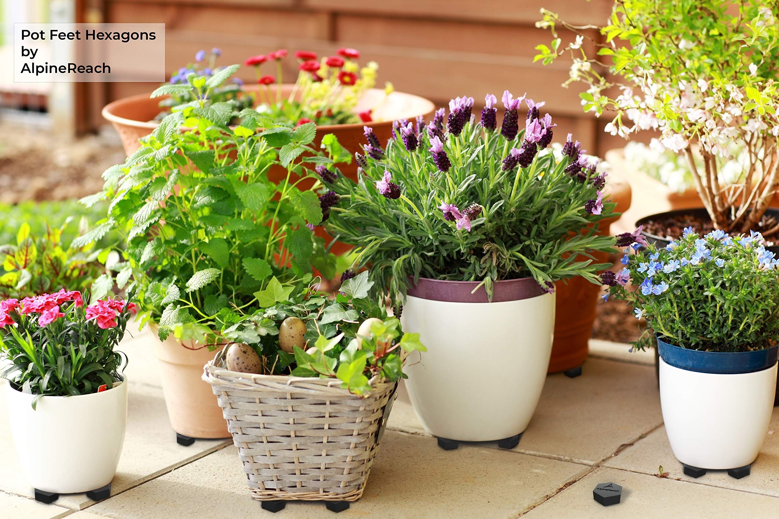 AlpineReach drainage and ventilation with air gap to prevent rot beneath pots