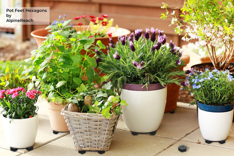 AlpineReach drainage and ventilation with air gap to prevent rot beneath pots