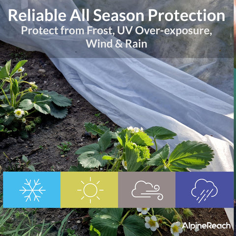 AlpineReach Frost Cover Snow Wind Barrier keeps delicate seedlings safe.