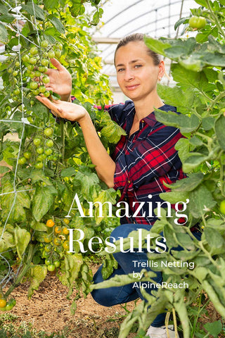 AlpineReach trellis netting supports tomatoes and peas in outdoor setups.