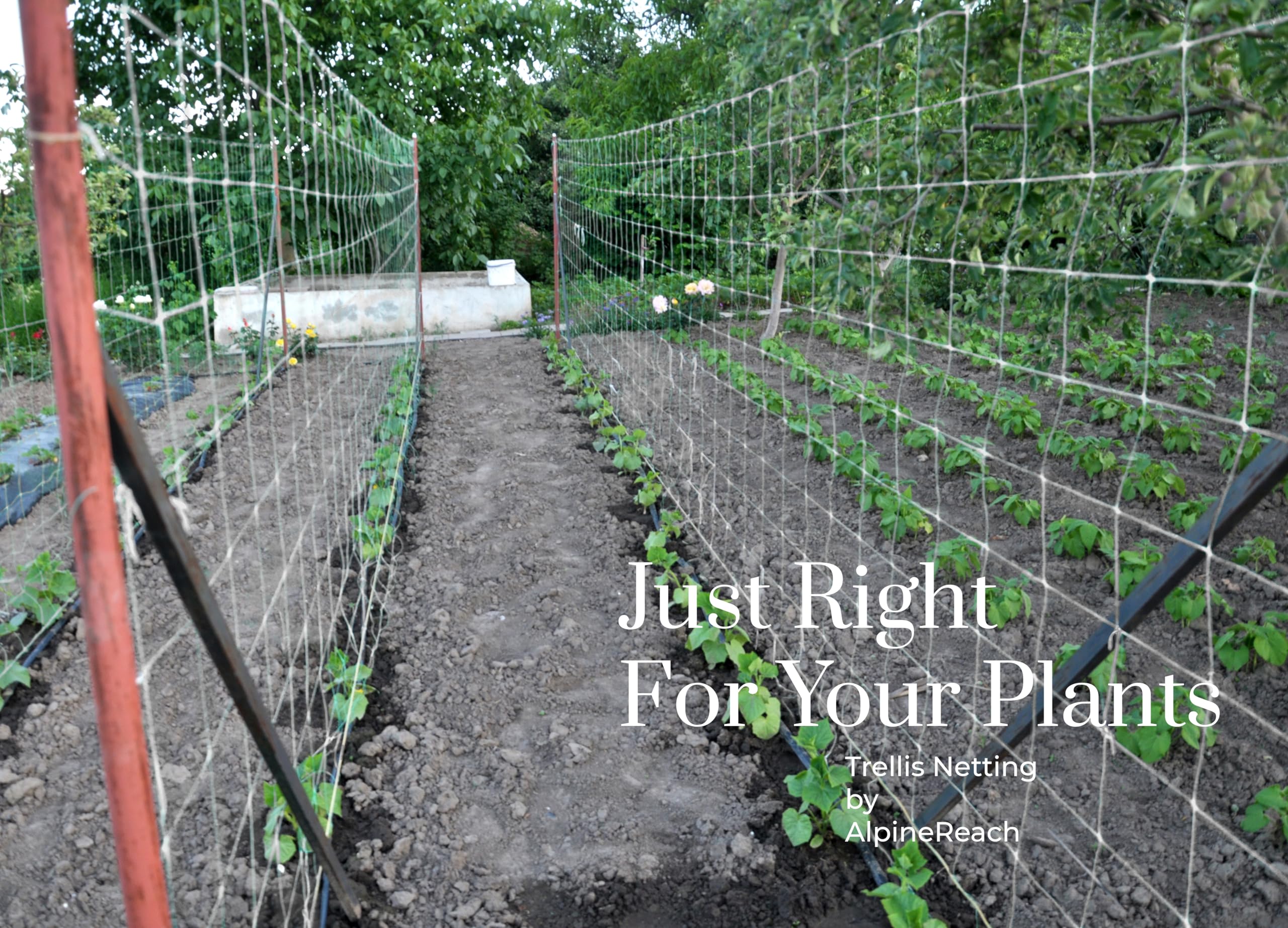 AlpineReach installation-ready netting protects crops while remaining flexible.
