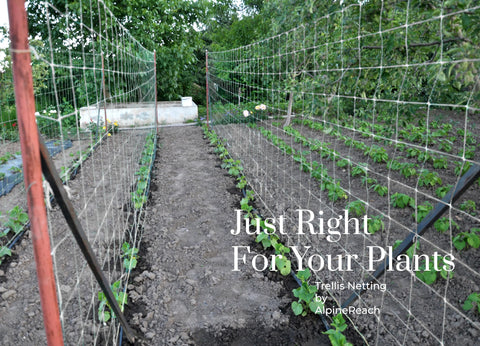AlpineReach installation-ready netting protects crops while remaining flexible.