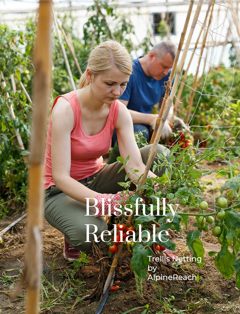 AlpineReach netting aids vertical gardening and plant organization.