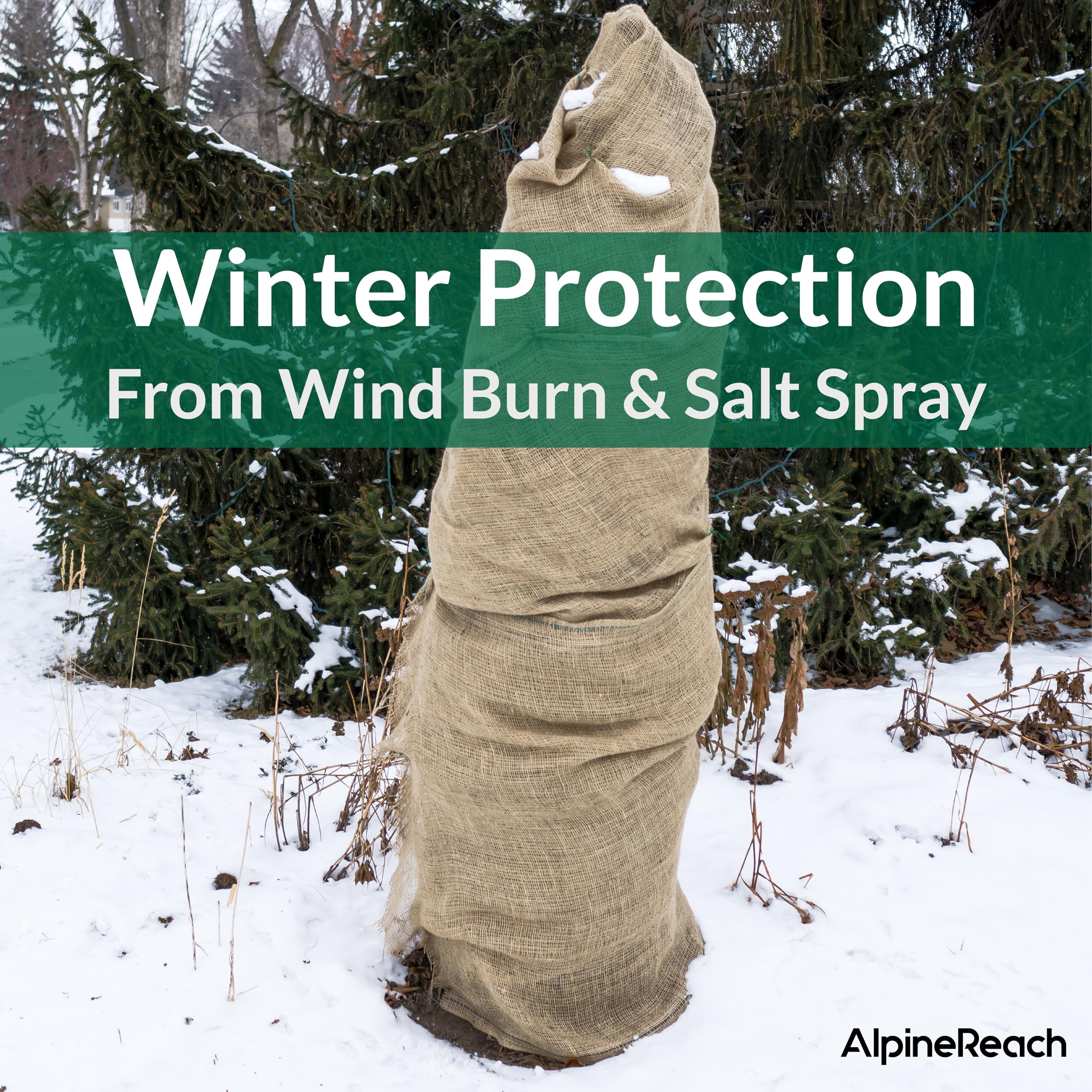 AlpineReach burlap used as plant protection and garden cover.