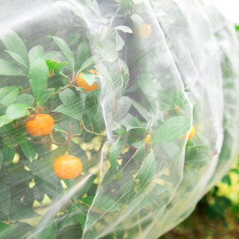 Alpurple easy-cut netting lets you tailor coverage without gaps.