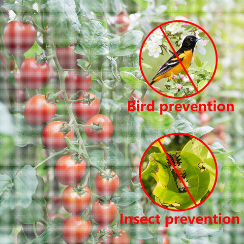Alpurple barrier netting allows simple monitoring without removing the cover.