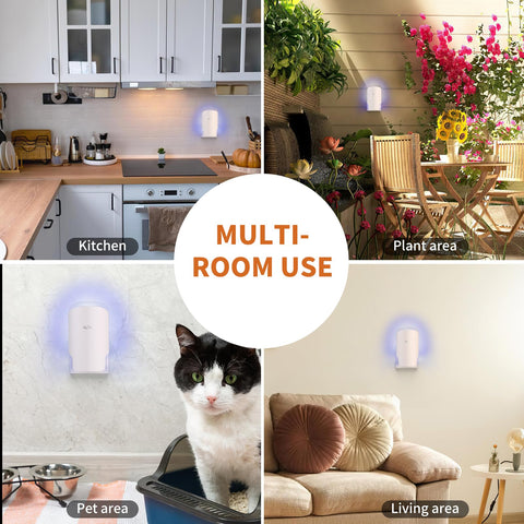 Altaz Fly Trap Indoor six-light unit by the lamp, perfect for bedrooms at night.