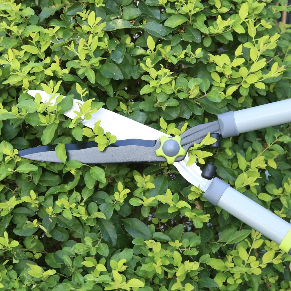 Altdorff garden tools trio displayed in a yard ready for pruning tasks.
