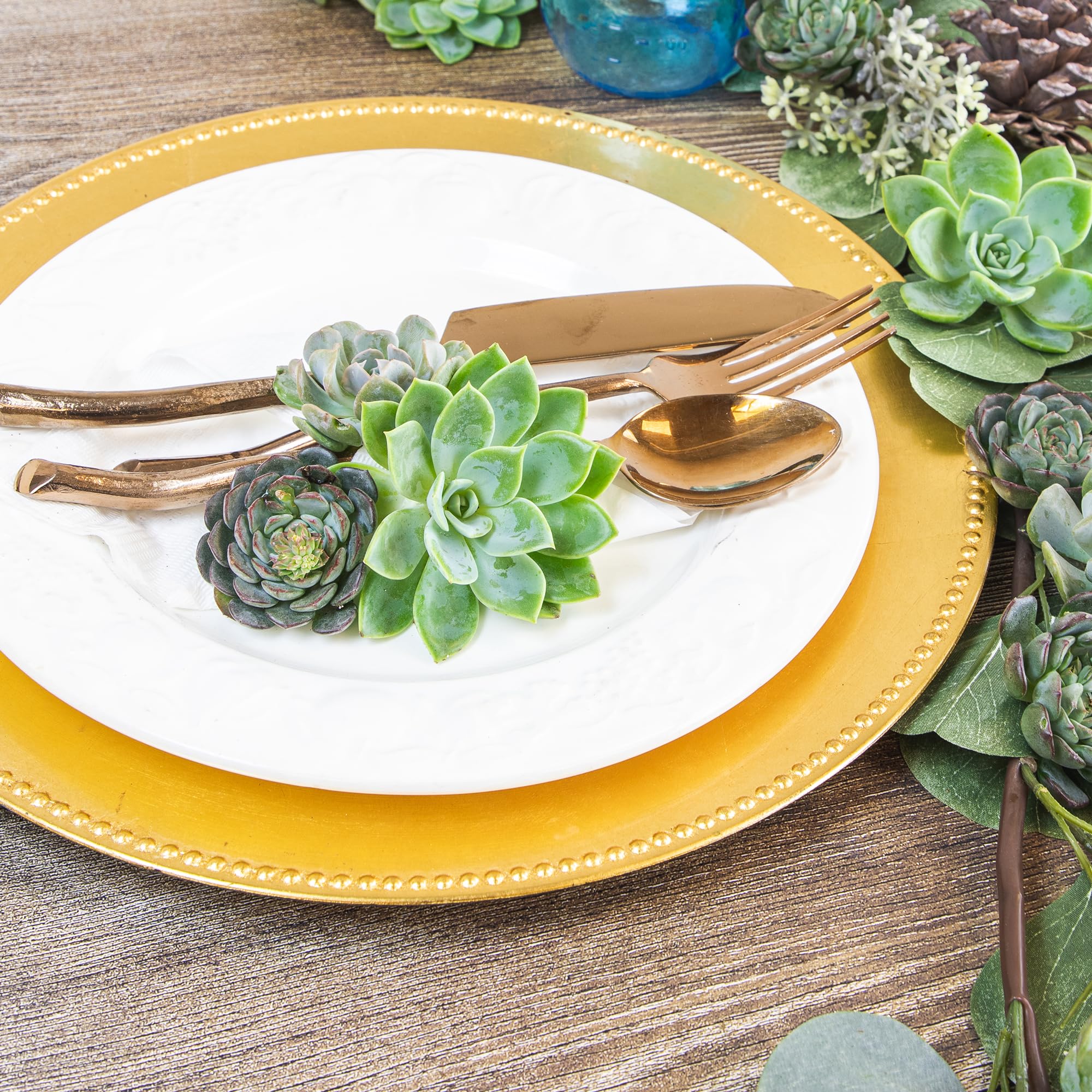 Altman Plants arrival displays approximately four inches tall for quick setup.