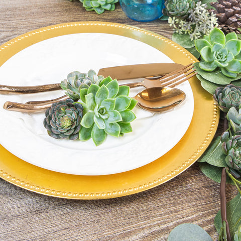 Altman Plants arrival displays approximately four inches tall for quick setup.