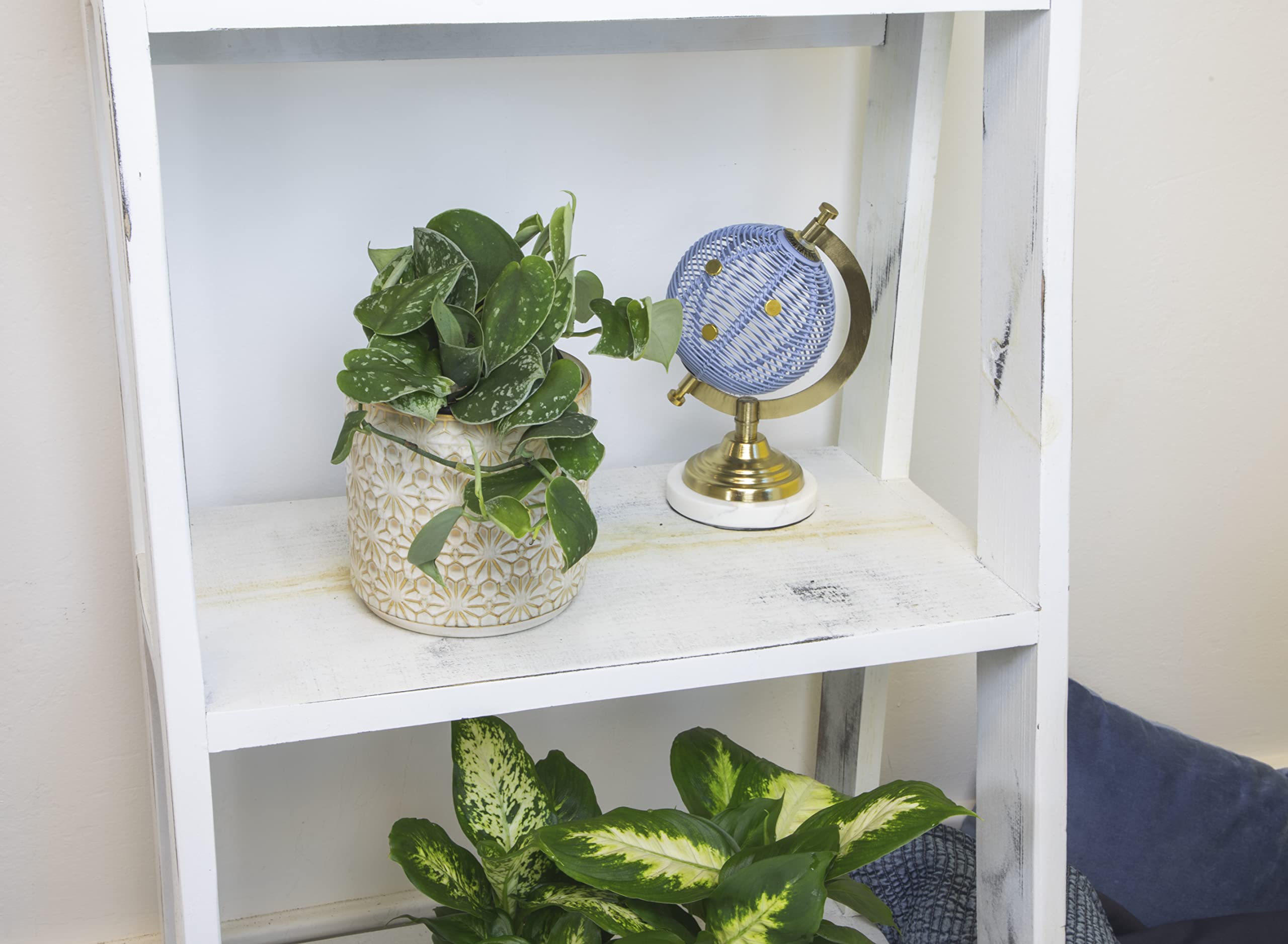 Altman Plants pothos nursery pot closeup shows healthy roots