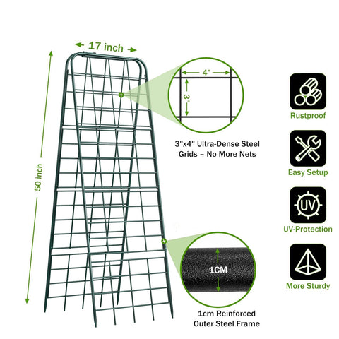 Alxcellion dense-grid steel trellis provides sturdy support for heavy vines and fruiting plants.