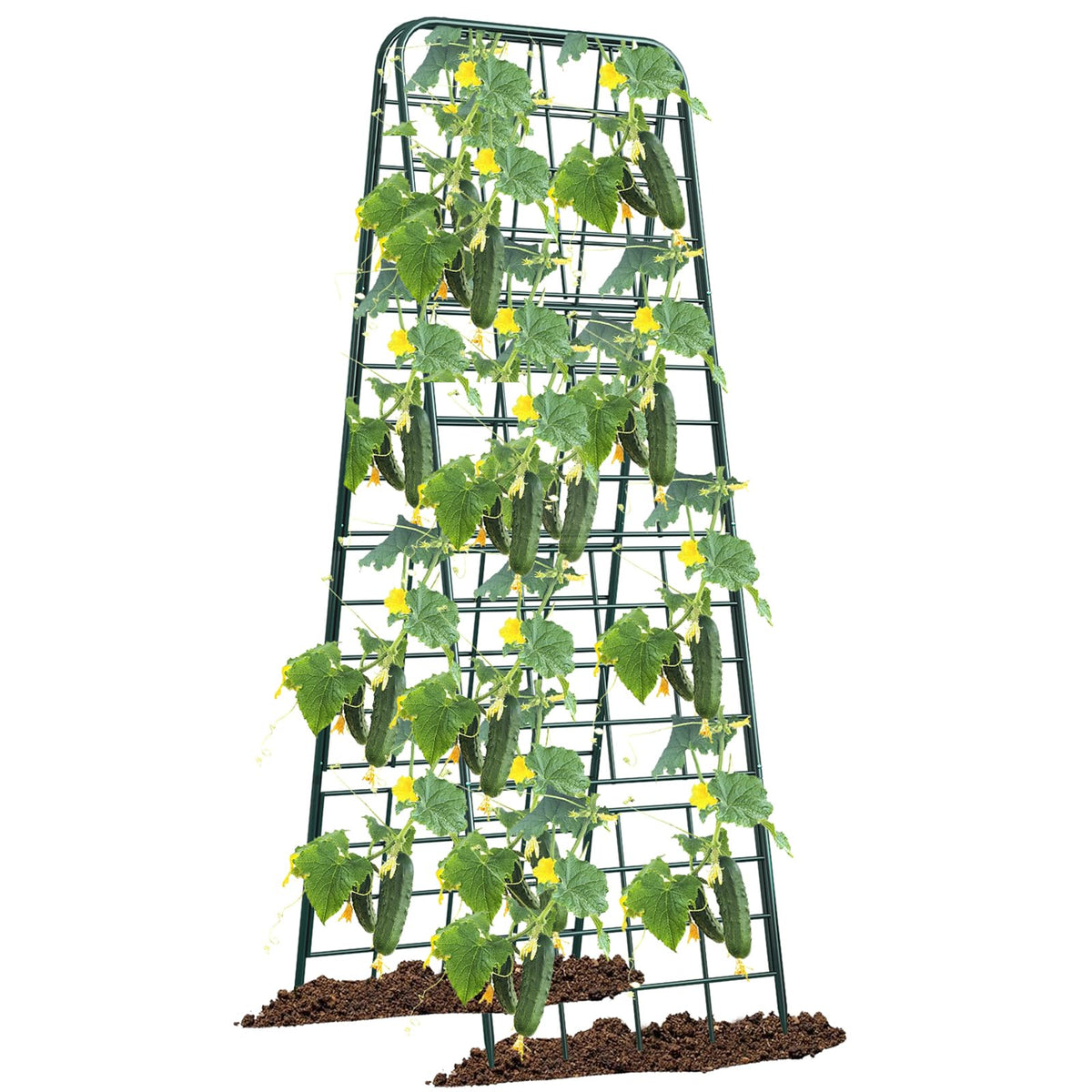 Alxcellion heavy-duty trellis side view showing adjustable height for garden use