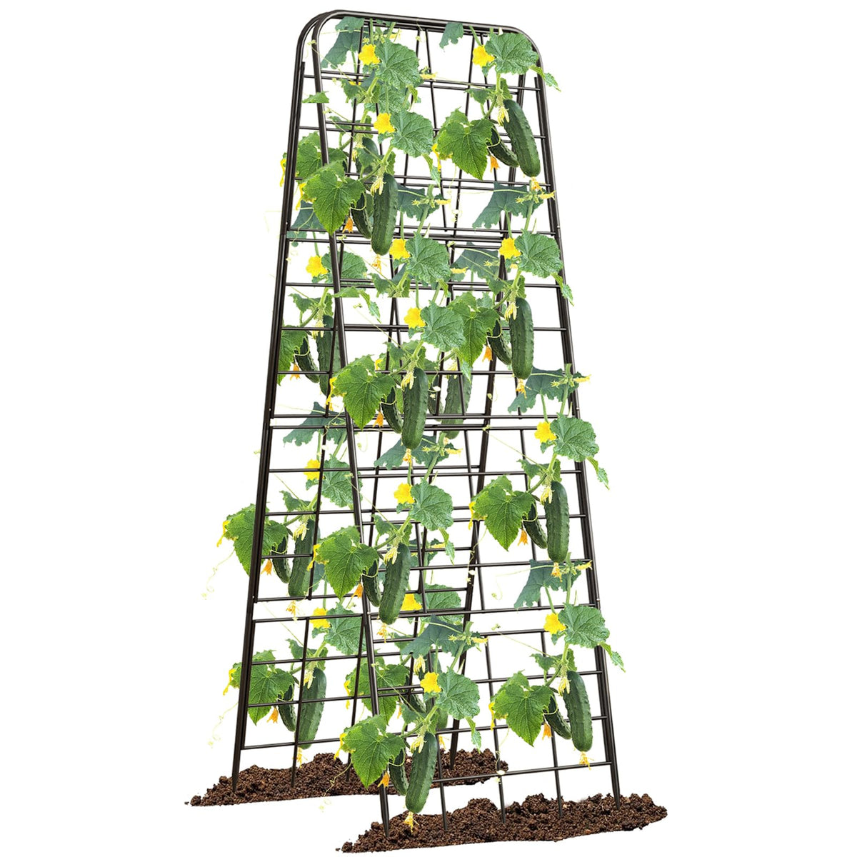 Alxcellion heavy-duty trellis front view for adjustable growth support in raised beds.