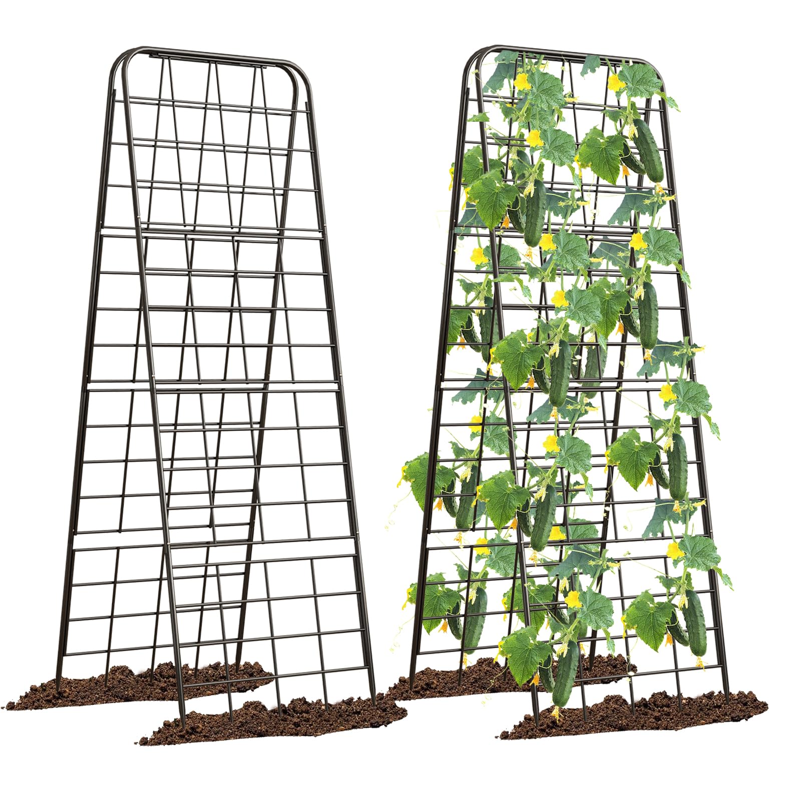 Alxcellion heavy-duty trellis 50x17 adjustable assembly for simple setup