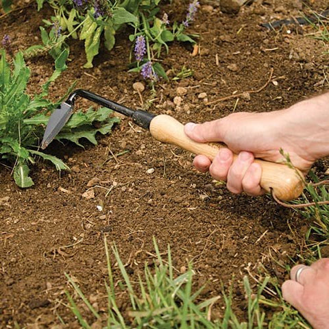 A.M. Leonard Cape Cod Weeder cutting edge penetrates tough soil for easier weeding.