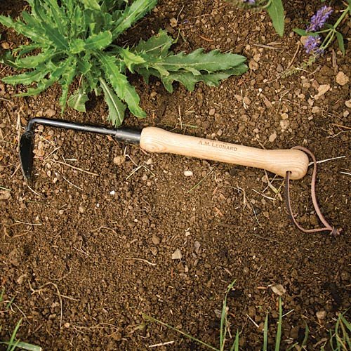 A.M. Leonard Cape Cod Weeder in soil helps aerate and loosen compact ground.