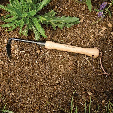 A.M. Leonard Cape Cod Weeder in soil helps aerate and loosen compact ground.