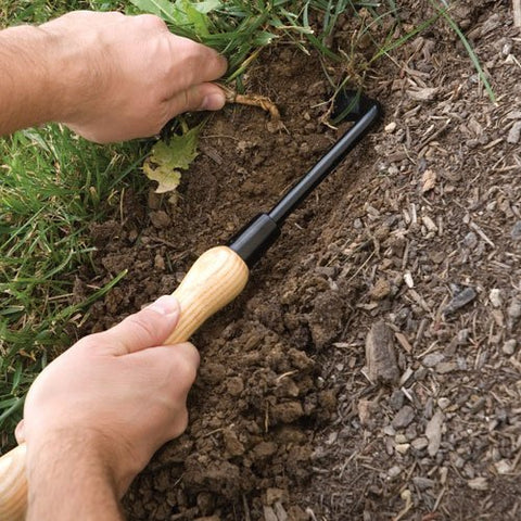A.M. Leonard Cape Cod Weeder wooden handle offers weather-resistant grip for outdoor gardening.