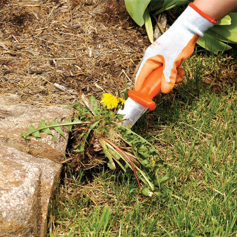 A.M. Leonard Deluxe Soil Knife in use during garden transplanting