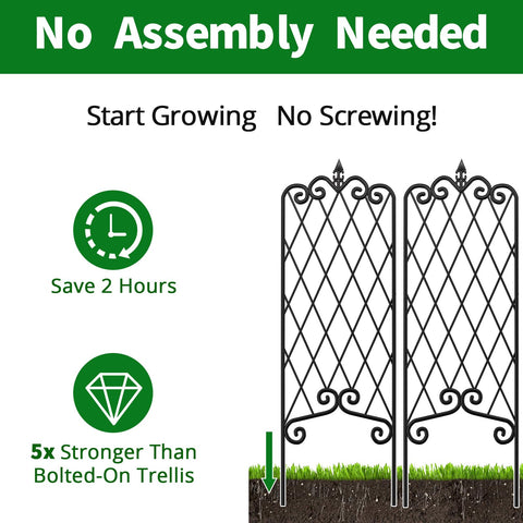 Amagabeli Garden Trellis with ivy demonstrates climbing support for plants.