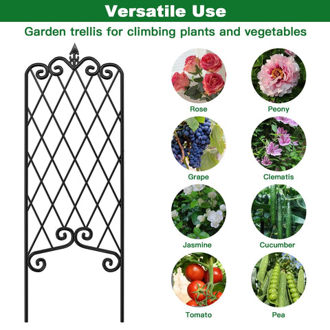 Amagabeli Garden Trellis no-assembly setup with ground spike for quick install.