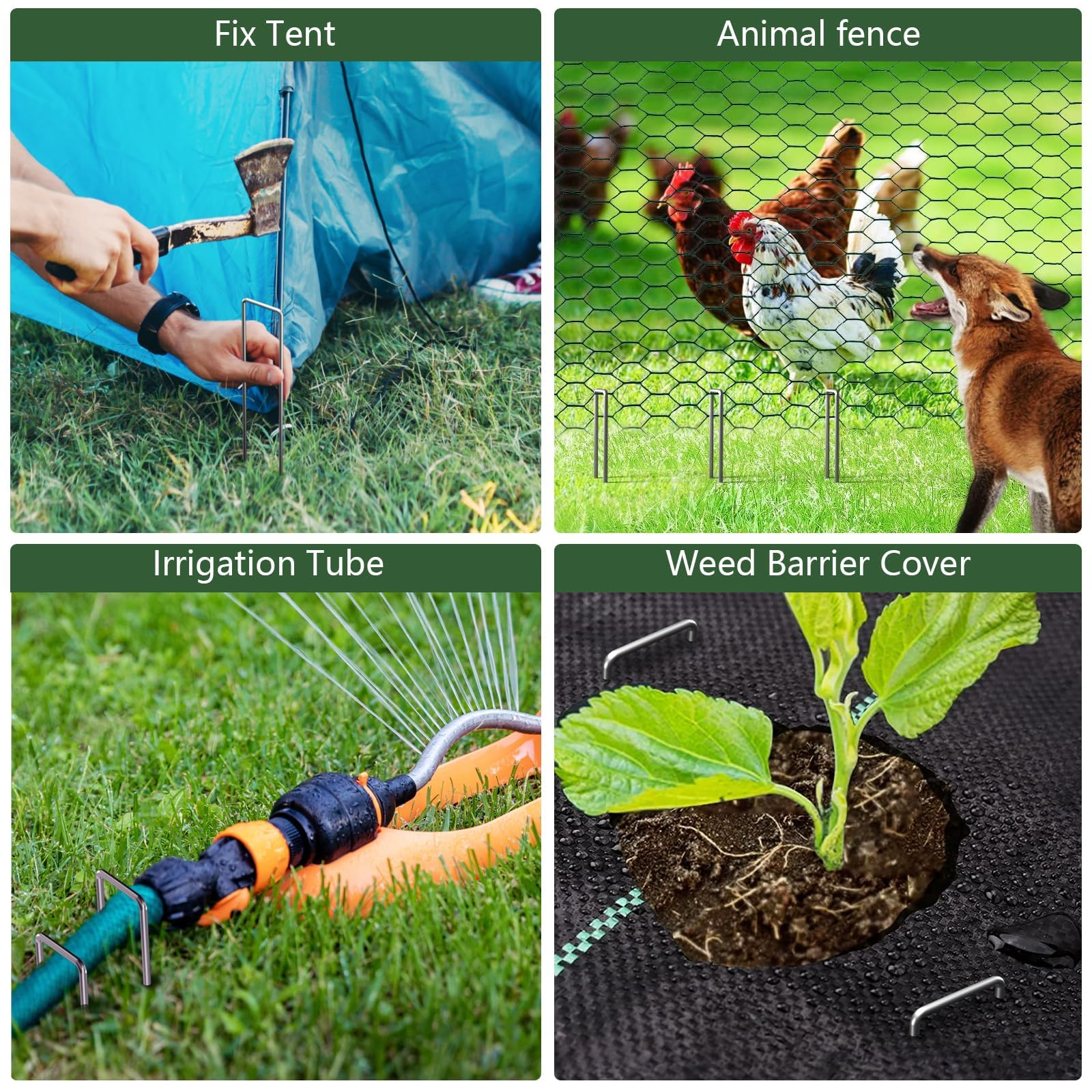 AMAGABELI landscape staples suited for multi-use across yards and beds