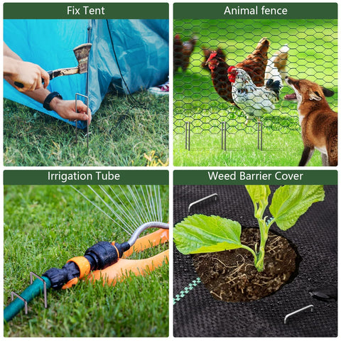 AMAGABELI landscape staples suited for multi-use across yards and beds