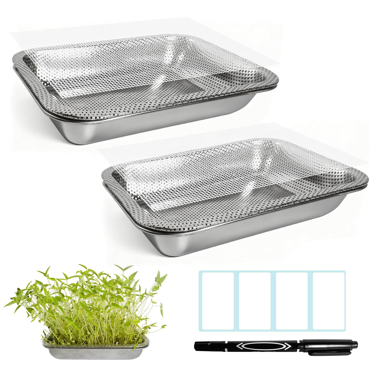 Amarys Hearth 2-Tier seed sprouter trays for efficient indoor sprouting.