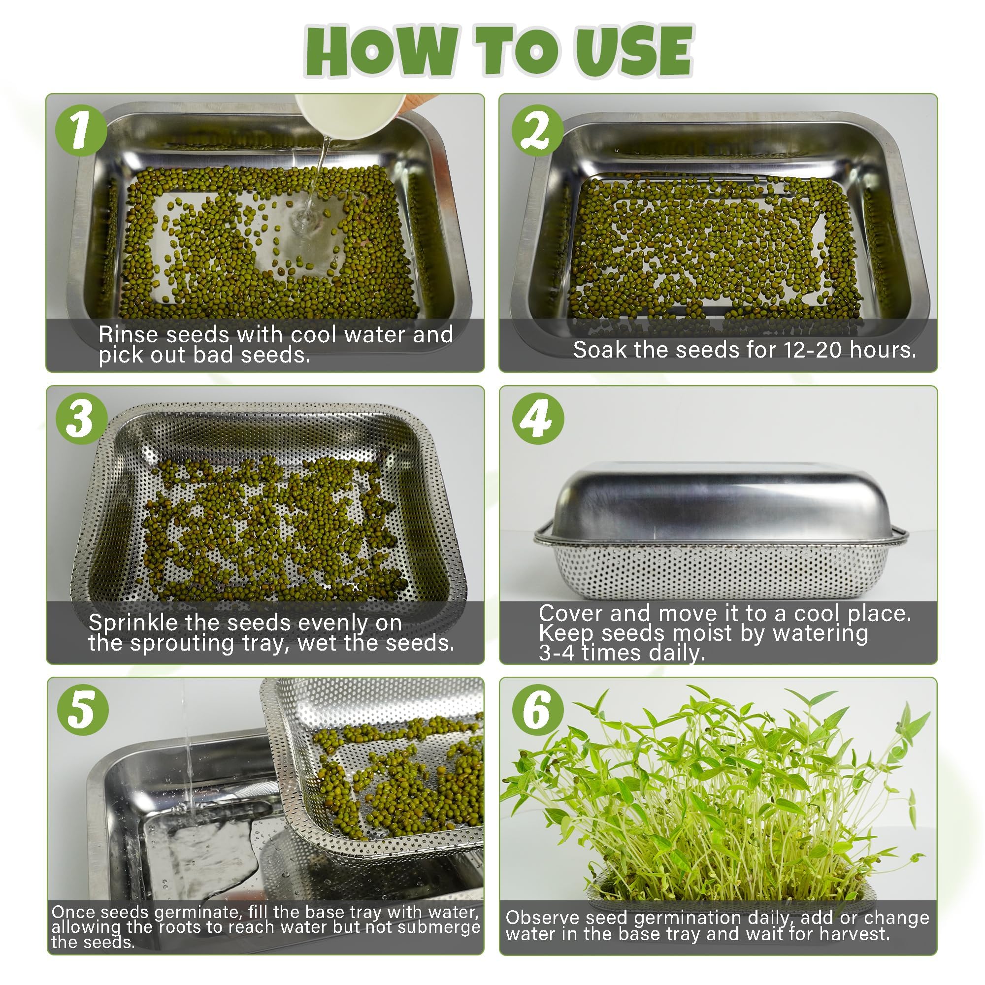 Ideal for both beginners and seasoned indoor gardeners.