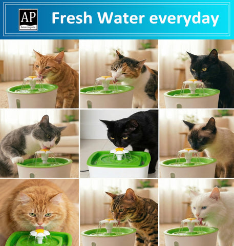 Amazinpure activated carbon layer reduces odors and chlorine for tastier water.