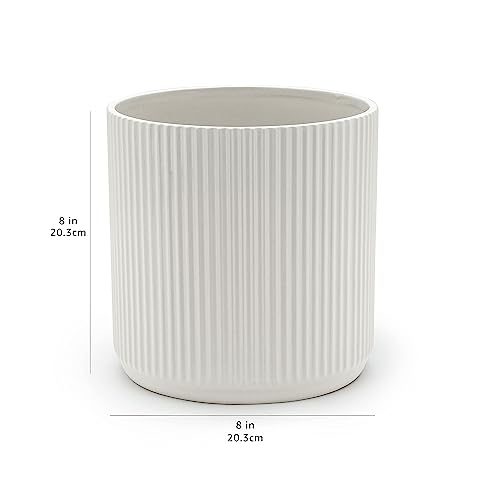 Amazon Basics round planter includes plug to control drainage indoors