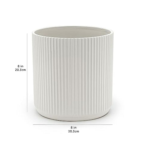 Amazon Basics round planter includes plug to control drainage indoors