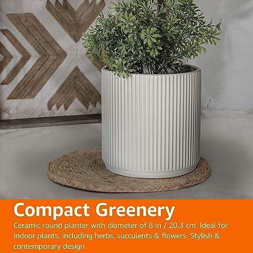 Amazon Basics durable ceramic pot with drainage hole for healthy soil