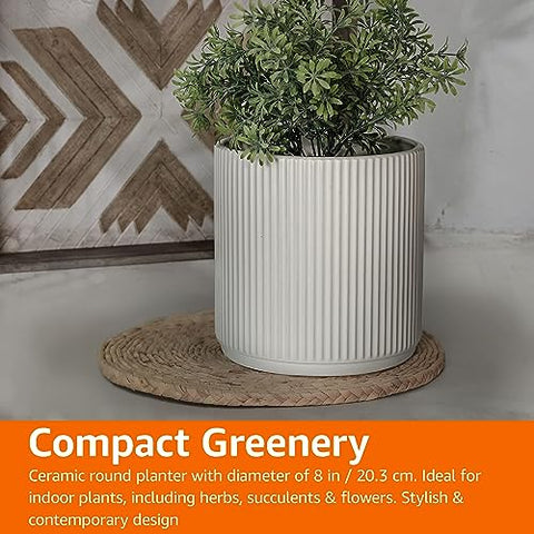 Amazon Basics durable ceramic pot with drainage hole for healthy soil