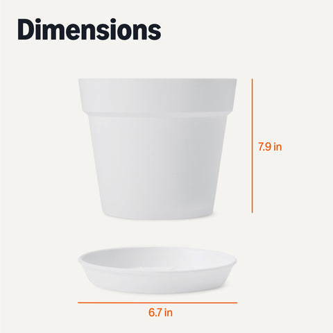Amazon Basics plant pot shown in home decor setup for easy styling.