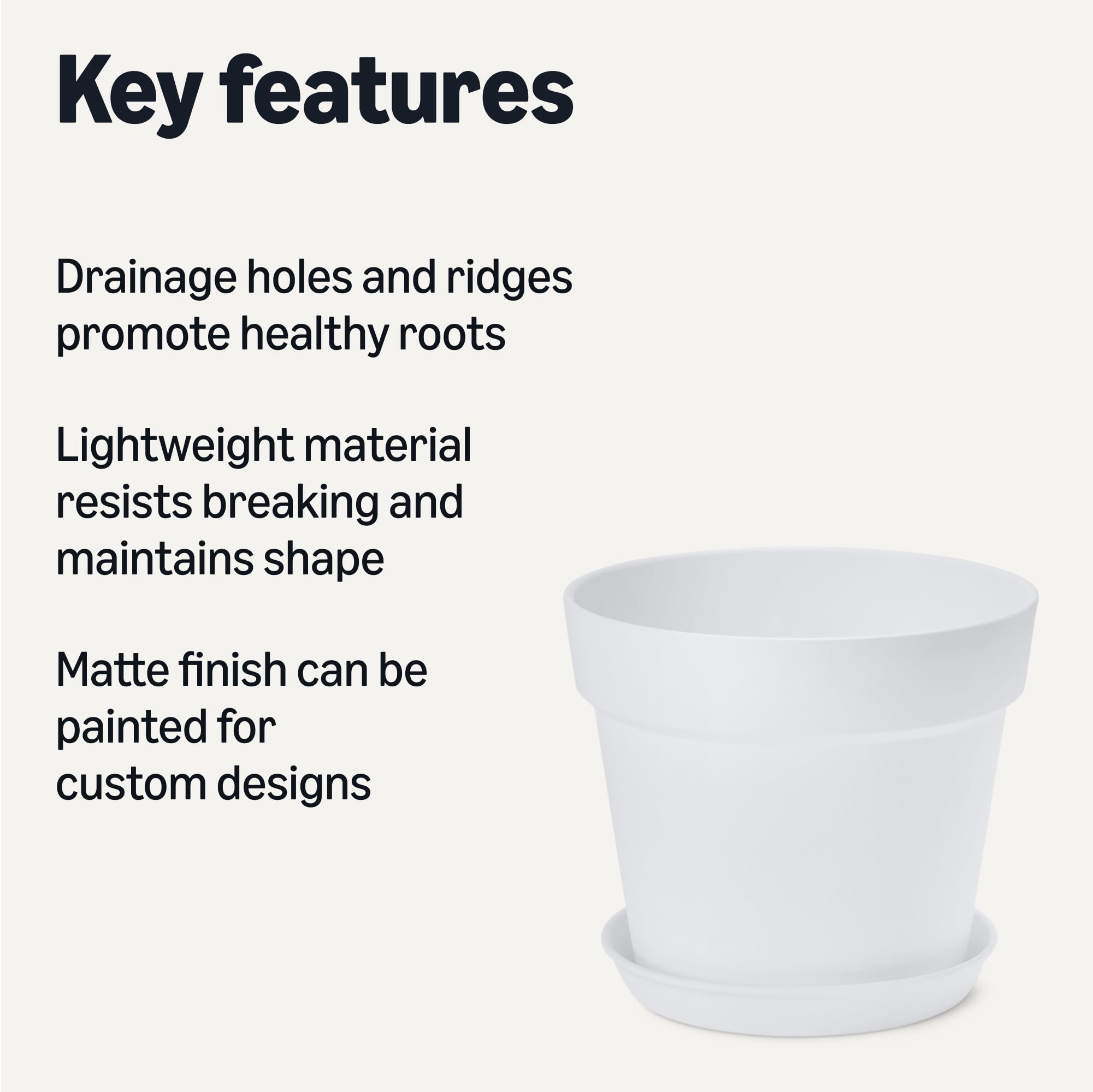 Amazon Basics pot with drainage holes ensures proper watering for healthy plants.
