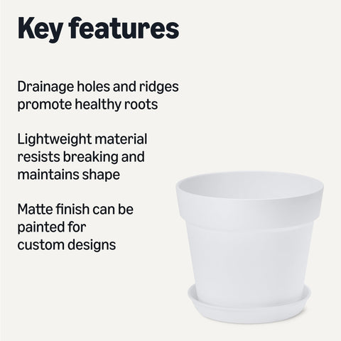 Amazon Basics pot with drainage holes ensures proper watering for healthy plants.