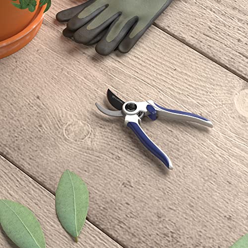 Amazon Basics blue storage-ready design for compact storage after pruning