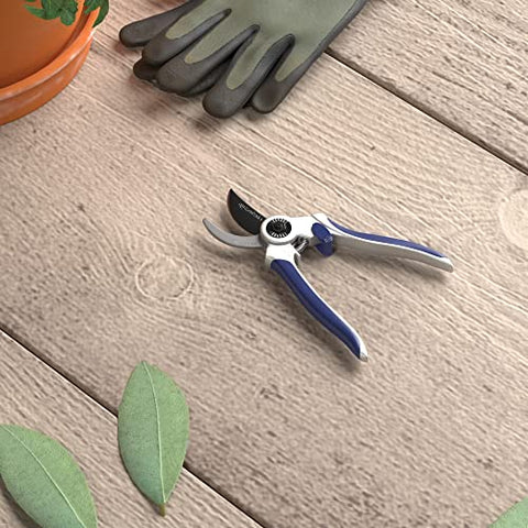 Amazon Basics blue storage-ready design for compact storage after pruning
