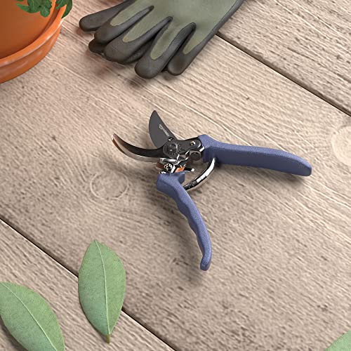 Amazon Basics pruning shears in garden use for flowers and shrubs.