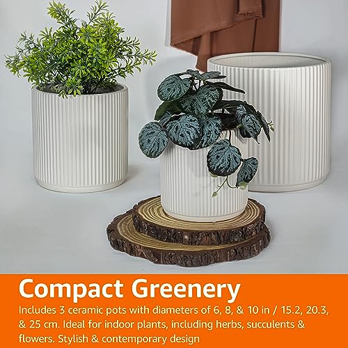 Amazon Basics succulent-friendly white planter ideal for herbs and small plants.