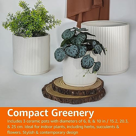 Amazon Basics succulent-friendly white planter ideal for herbs and small plants.