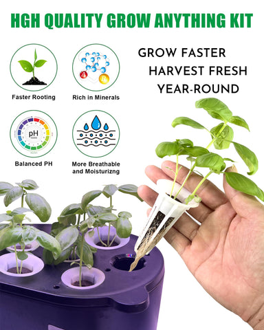 Ambgrow grow sponges 12-pack ready for quick seed placement and rooting.