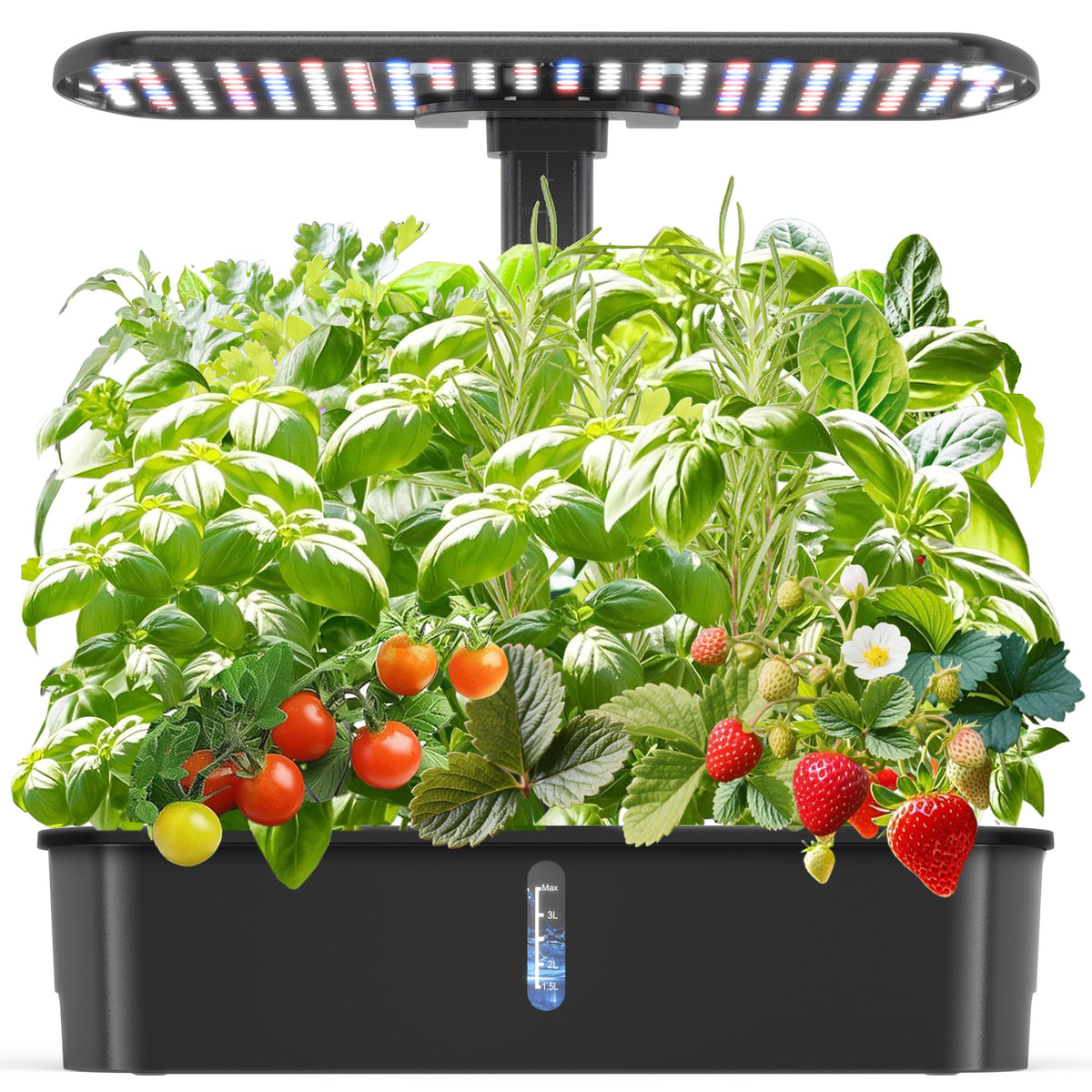 Ambgrow hydroponics system setup demonstrates a compact indoor garden ready for use