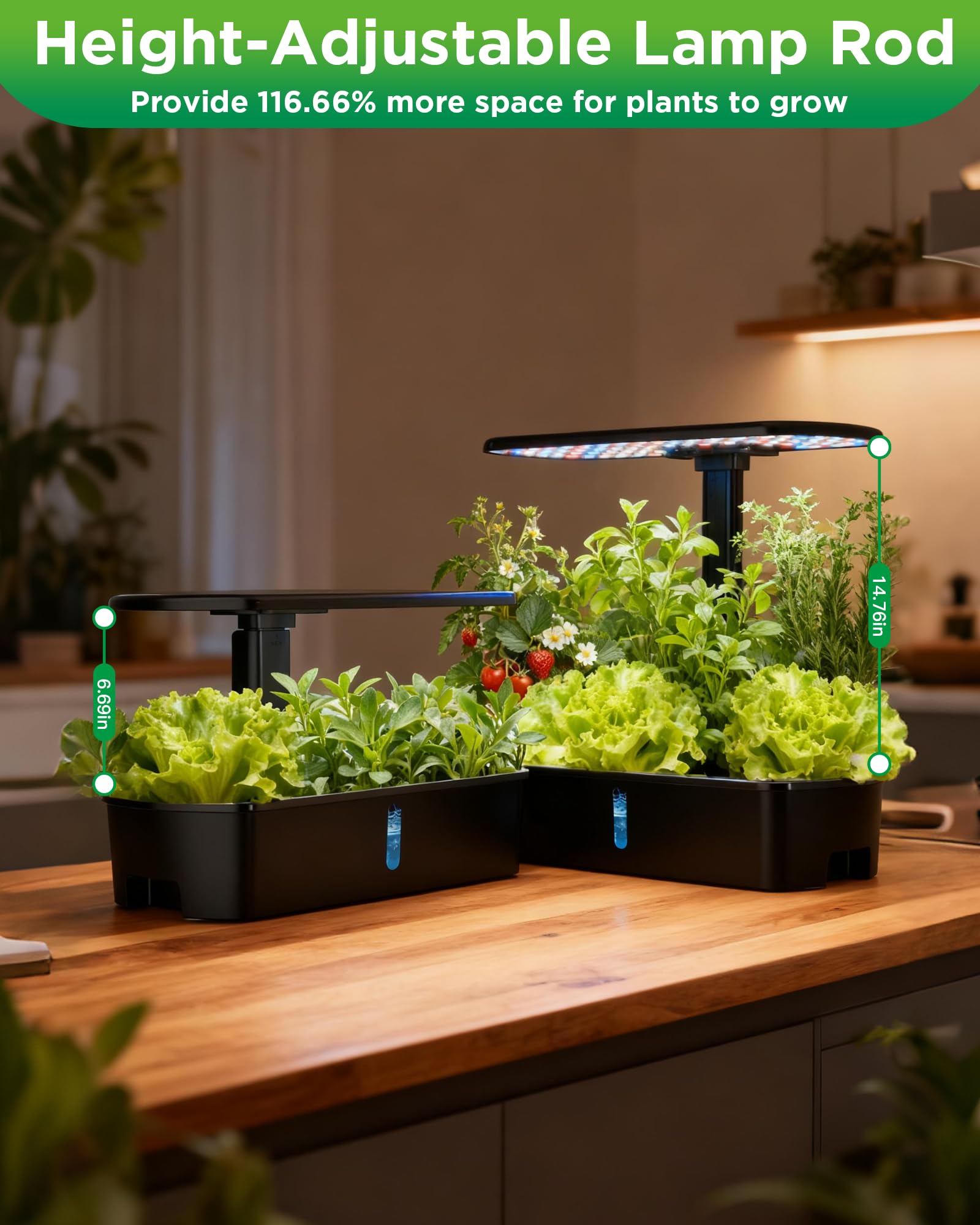 Ambgrow Veg and Flower modes tailor light for different growth stages