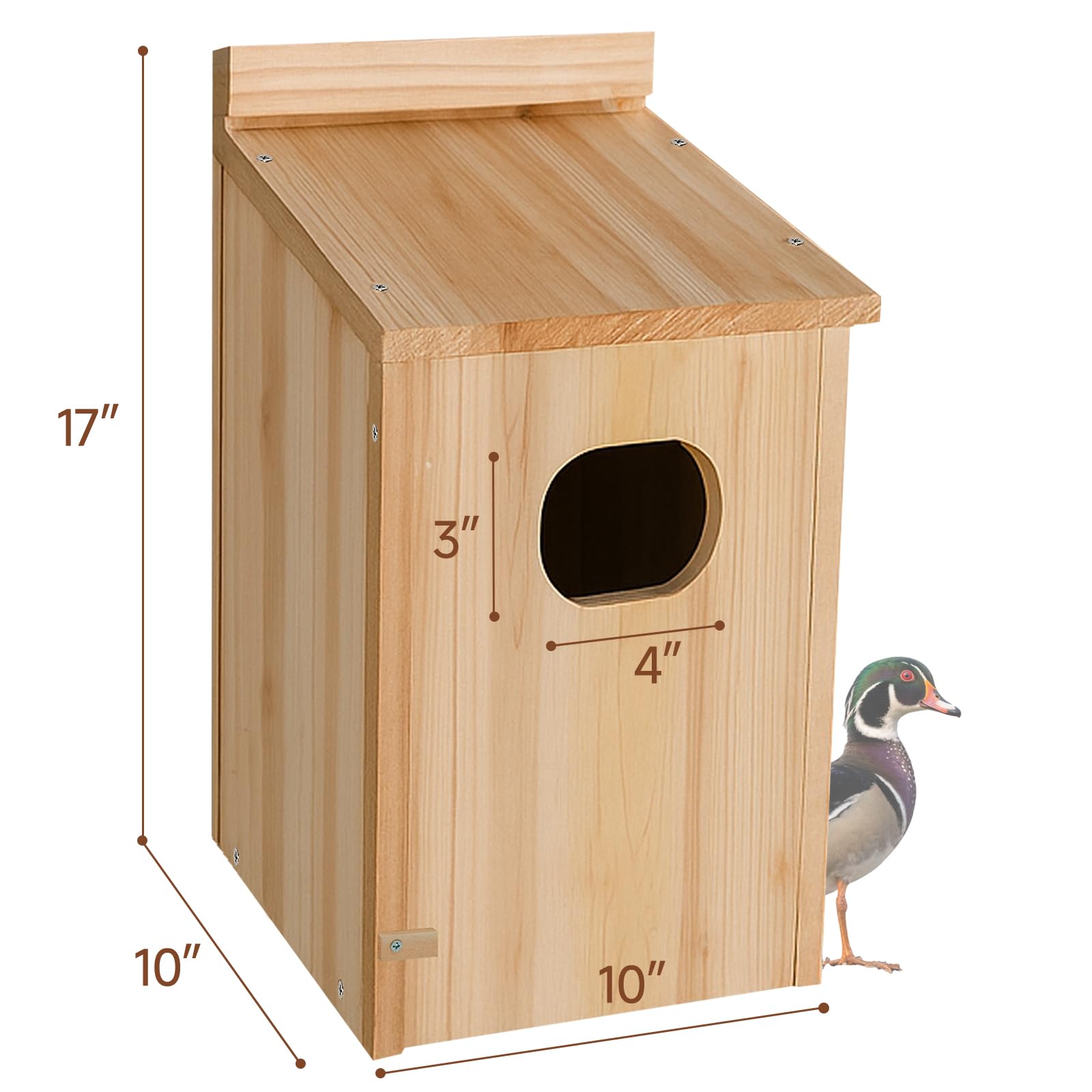 Amcortn Duck House drainage holes ensure a dry nesting space.