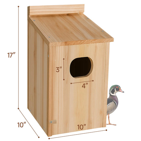 Amcortn Duck House drainage holes ensure a dry nesting space.