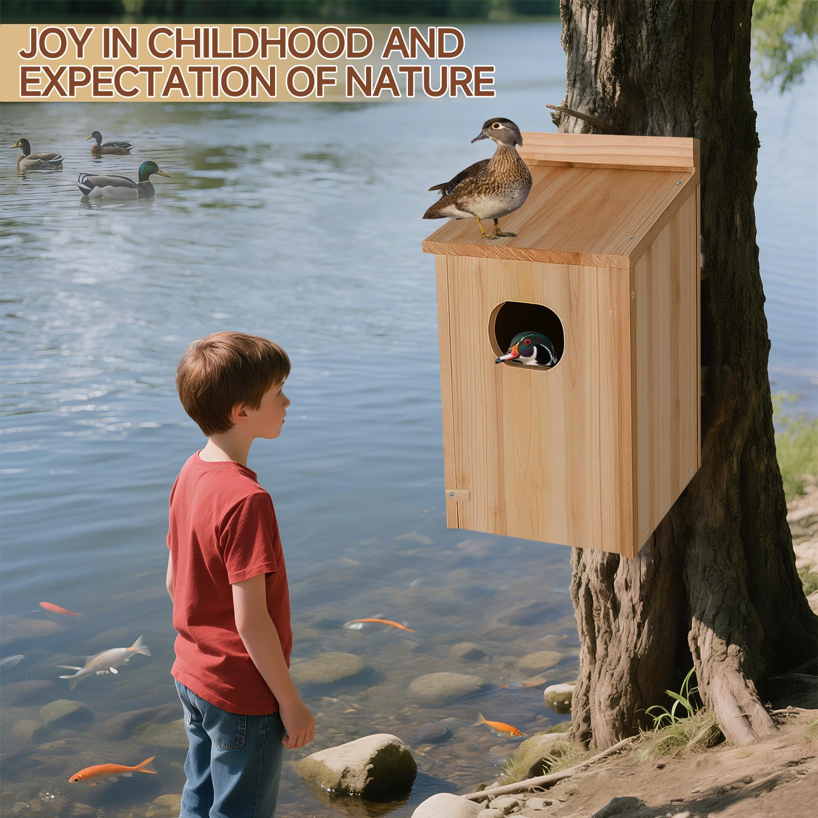 Amcortn Duck House installation view demonstrates simple mounting.